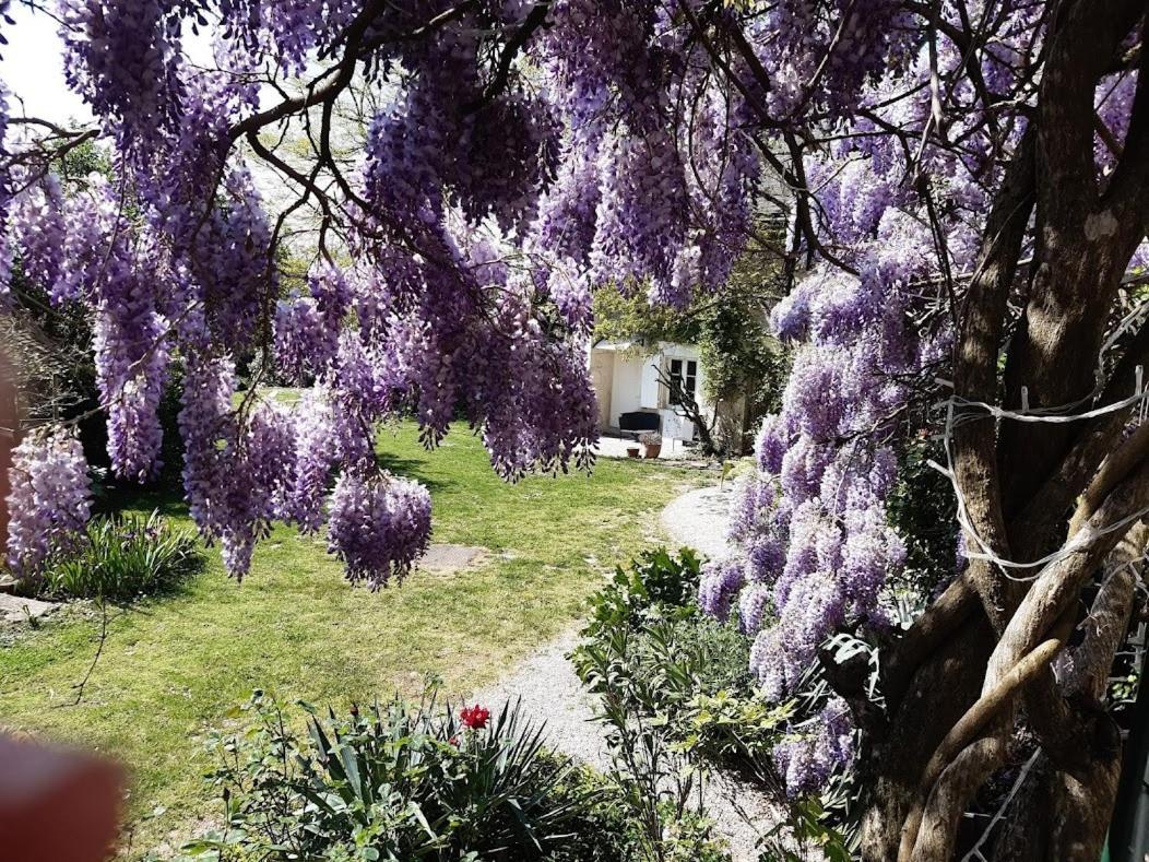 Отель Domaine Les Feuillants Crouzilles Экстерьер фото